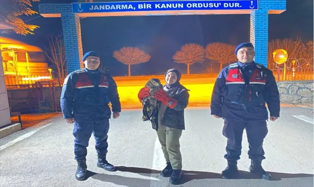 Eskişehir’de yaralı bulunan kızıl şahin tedaviye alındı Eskişehir’de yaralı bulunan kızıl şahin tedaviye alındı