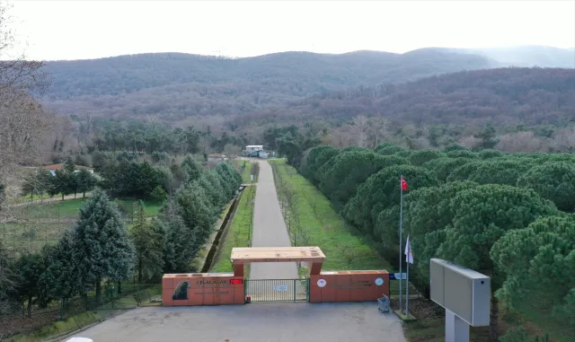 GÜNCELLEME - Bursa’daki barınaktan kaçan ayının yakalanması için çalışmalar sürüyor GÜNCELLEME - Bursa’daki barınaktan kaçan ayının yakalanması için çalışmalar sürüyor