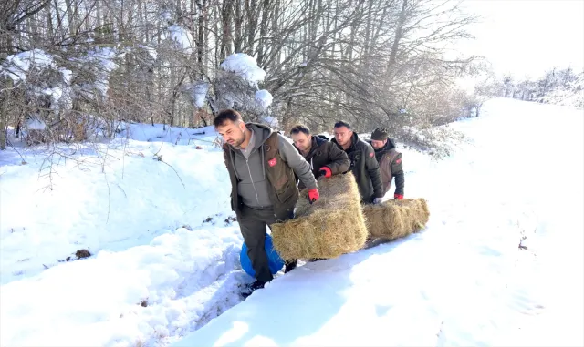 Kırklareli’nde Yıldız Dağları’ndaki yaban hayvanları için doğaya yem bırakıldı Kırklareli’nde Yıldız Dağları’ndaki yaban hayvanları için doğaya yem bırakıldı