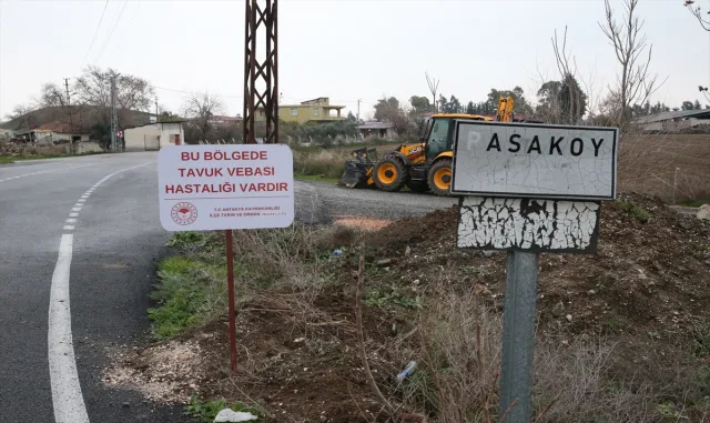 Hatay’da kuş gribi görülen mahalle karantinaya alındı Hatay’da kuş gribi görülen mahalle karantinaya alındı