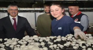 Niğde Valisi Çelik, kültür mantarı üretim tesisinde incelemede bulundu