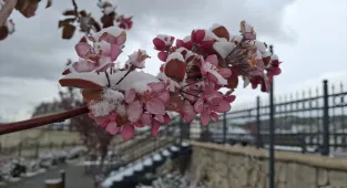 Beypazarı'nda kar yağışı etkili oldu