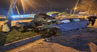 GÜNCELLEME - İzmir'de ağaca çarpan otomobilin sürücüsü öldü