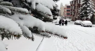 Kars'ta aralıklarla etkili olan kar, etrafı beyaza bürüdü