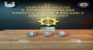 Şanlıurfa'da uyuşturucu operasyonunda 12 zanlı tutuklandı