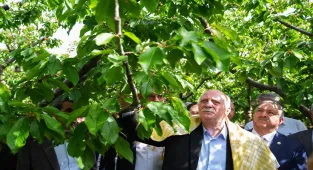 TZOB Genel Başkanı Bayraktar, İzmir'de zirai dondan etkilenen bahçeleri inceledi