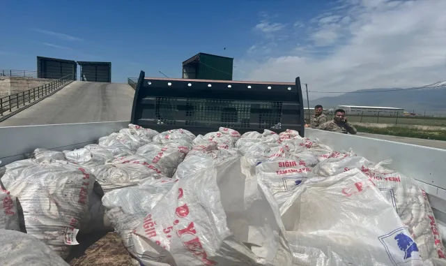 Ağrı'da 2 ton inci kefali ele geçirildi
