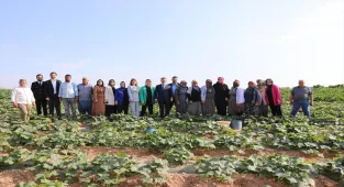 AK Parti Genel Başkan Yardımcısı Kaya, Adana'da ziyaretlerde bulundu