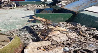 Bodrum'da deniz dibinden 50 ton atık toplandı