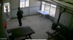 GÜNCELLEME - Edirne'de 5 aylık köpeği bastonla döven şüpheli adli kontrol şartıyla serbest bırakıldı