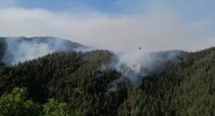  GÜNCELLEME - Kahramanmaraş'ta çıkan orman yangınına müdahale ediliyor
