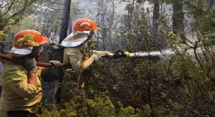 GÜNCELLEME - Kütahya'da ormanlık alanda çıkan yangın kontrol altına alındı