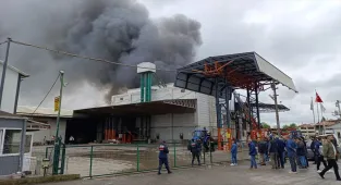 GÜNCELLEME - Sakarya'da fındık kırım fabrikasında çıkan yangın kontrol altına alındı