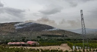 İzmir'de zeytinlik alanda çıkan yangın kontrol altına alındı