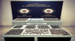 Kapıkule'de tırda tarihi eser niteliğinde 12 bin 770 sikke ve obje ele geçirildi