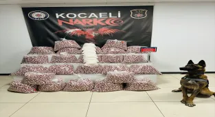 Kocaeli'de uyuşturucu operasyonunda 1 şüpheli tutuklandı