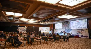 Mersin'de düzenlenen 