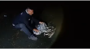 Van'da kaçak inci kefali avlayan kişiye 59 bin 394 lira ceza verildi