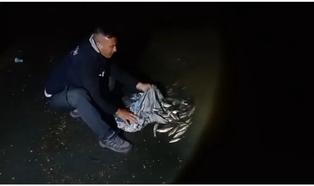 Van'da kaçak inci kefali avlayan kişiye 59 bin 394 lira ceza verildi