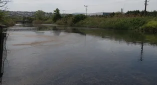 Yalova'da Marmara Denizi'ni kirleten YASKİ'ye 4 milyon lira ceza kesildi