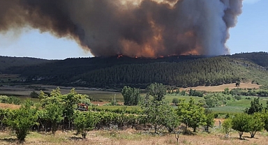 Adana'da çıkan orman yangınına müdahale ediliyor