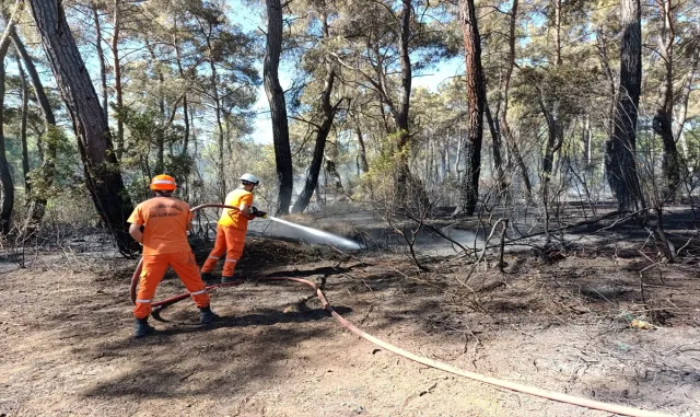 Antalya'nın Aksu ve Kumluca ilçelerinde orman yangını çıktı