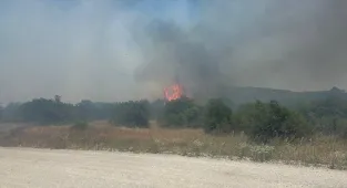 Balıkesir'in İvrindi ilçesinde çıkan orman yangını kontrol altında