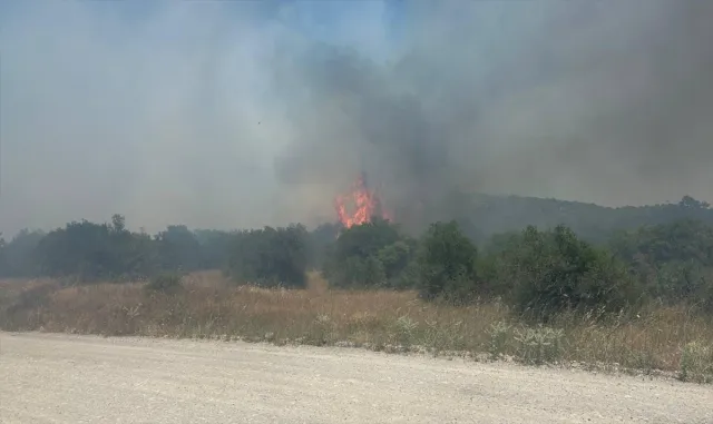 Balıkesir'in İvrindi ilçesinde çıkan orman yangını kontrol altında