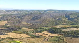 Bilecik'te çıkan orman yangını kontrol altına alındı