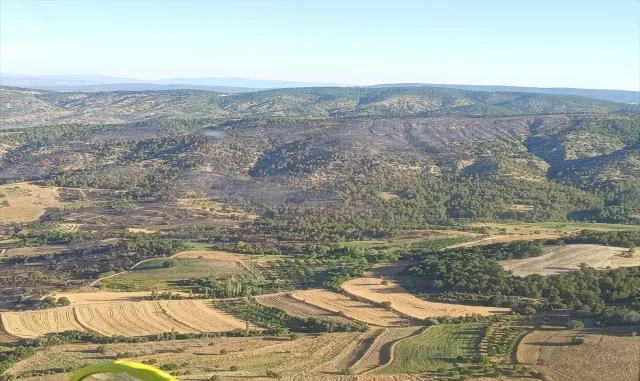 Bilecik'te çıkan orman yangını kontrol altına alındı
