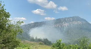 Bilecik'te çıkan orman yangını söndürüldü