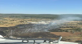Bodrum'da tarım arazisinde çıkan yangın söndürüldü