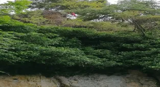 Burdur'da kayalıklardan düşen kadın hayatını kaybetti