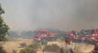 Çanakkale'de tarım arazisinde çıkan yangına havadan ve karadan müdahale ediliyor