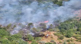 Edirne’de çıkan orman yangınına müdahale ediliyor