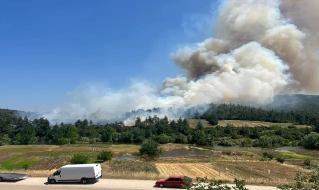 GÜNCELLEME 2 - Bursa'nın Orhaneli ilçesinde anızda başlayıp ormana sıçrayan yangına müdahale ediliyor