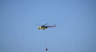 GÜNCELLEME 2 - İzmir Bornova'da tarım arazisinde başlayan yangın ormana sıçradı