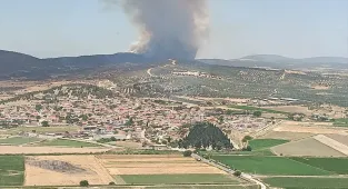 GÜNCELLEME 2 - İzmir'in Aliağa ilçesinde çıkan orman yangınına müdahale sürüyor