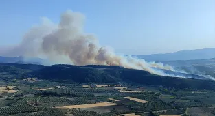 GÜNCELLEME 2 - Manisa'da kontrol altına alınan orman yangını yeniden başladı