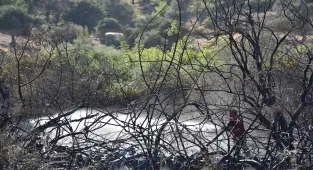 GÜNCELLEME 2 - Marmaris'te çıkan orman yangını kontrol altına alındı