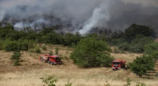 GÜNCELLEME 3 - Bursa'nın Yenişehir ilçesinde çıkan orman yangını tamamen kontrol altına alındı
