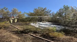 GÜNCELLEME - Adana'da çıkan orman yangını kontrol altına alındı