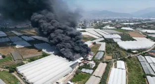 GÜNCELLEME - Antalya'da fide üretim tesisinde yangın çıktı
