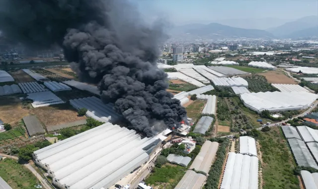 GÜNCELLEME - Antalya'da fide üretim tesisinde yangın çıktı