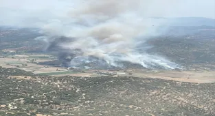 GÜNCELLEME - Aydın'da zeytinlik alanda yangın çıktı