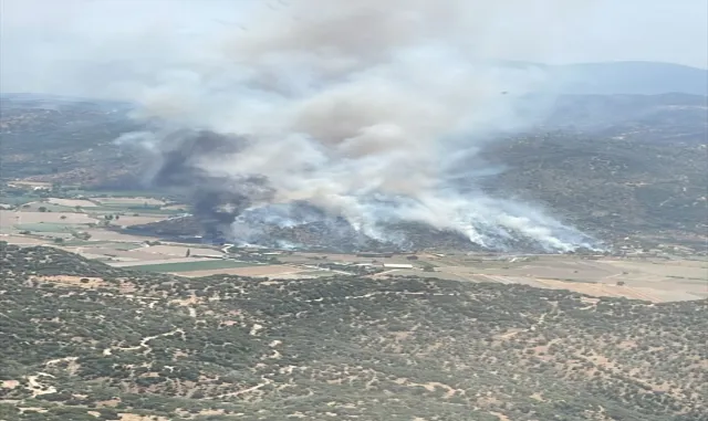 GÜNCELLEME - Aydın'da zeytinlik alanda yangın çıktı