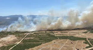 GÜNCELLEME - Aydın'ın Didim ilçesinde makilik alanda çıkan yangın kontrol altına alındı