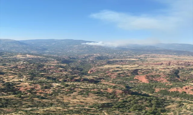 GÜNCELLEME - Aydın'ın Efeler ve Bozdoğan ilçelerindeki yangınlara müdahale ediliyor