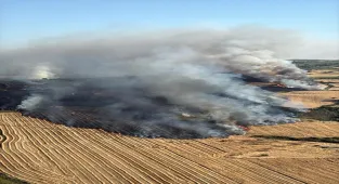 GÜNCELLEME - Balıkesir'de arazide çıkan yangın kontrol altında
