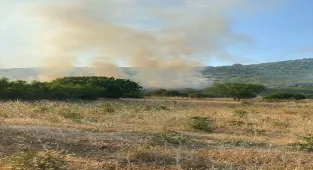 GÜNCELLEME - Balıkesir'de tarım arazisinde çıkan yangın kontrol altına alındı